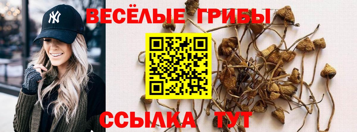 Галлюциногенные грибы Cubensis  Псилоцибиновые грибы мухоморы  Елабуга  Вход с VPN 